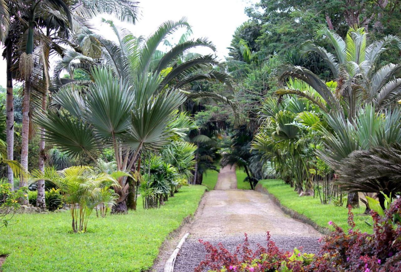 Bnb Tropical Island Aparthotel - Corales Del Sur - Santo Domingo Este Exteriér fotografie